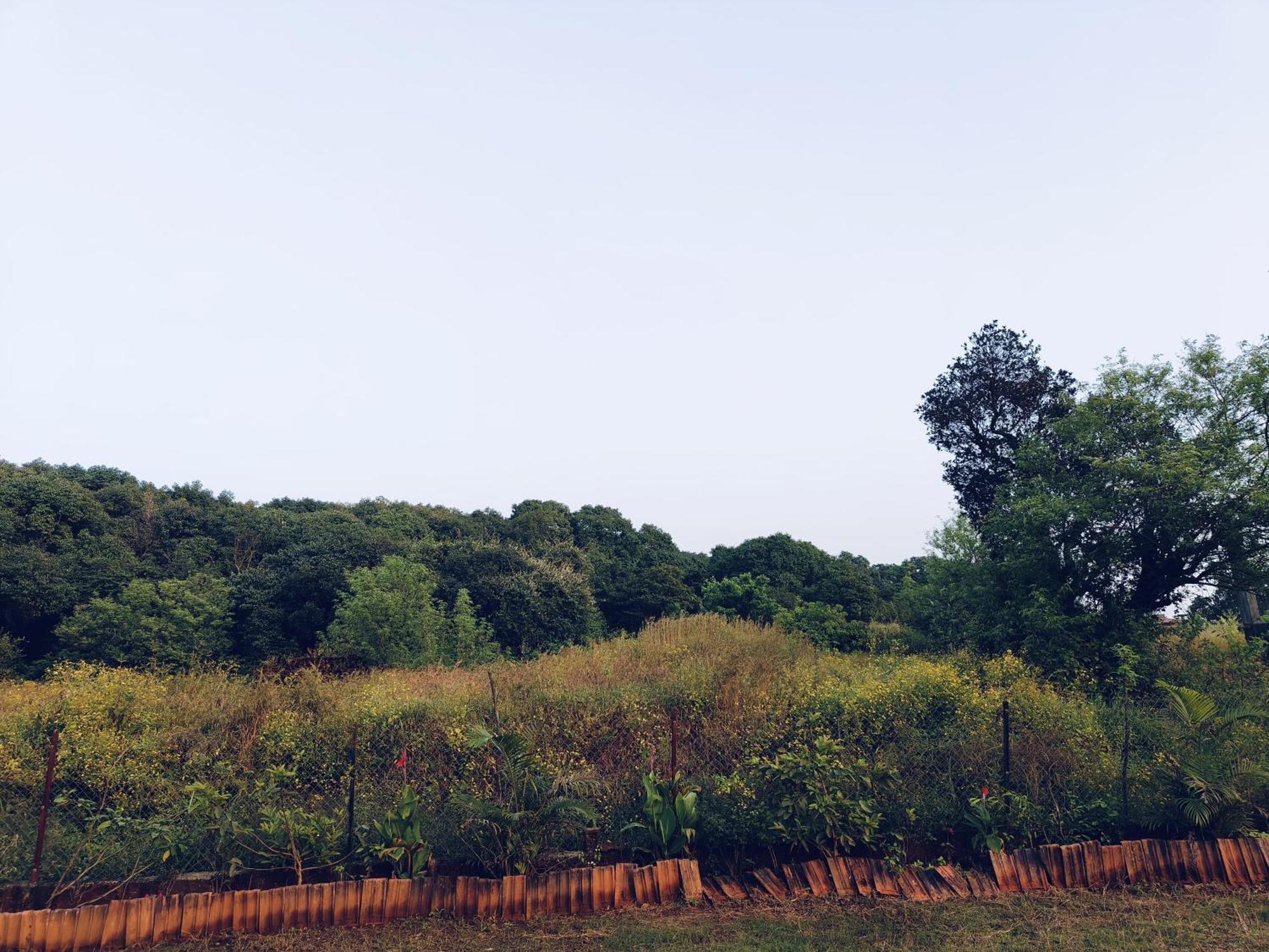 Laforesta By Mahabaleshwar Stay Zewnętrze zdjęcie
